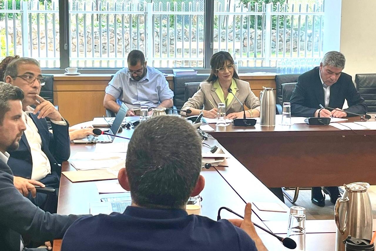 Η Υφυπουργός Κοινωνικής Πρόνοιας στην Επιτροπή Εργασίας της Βουλής.