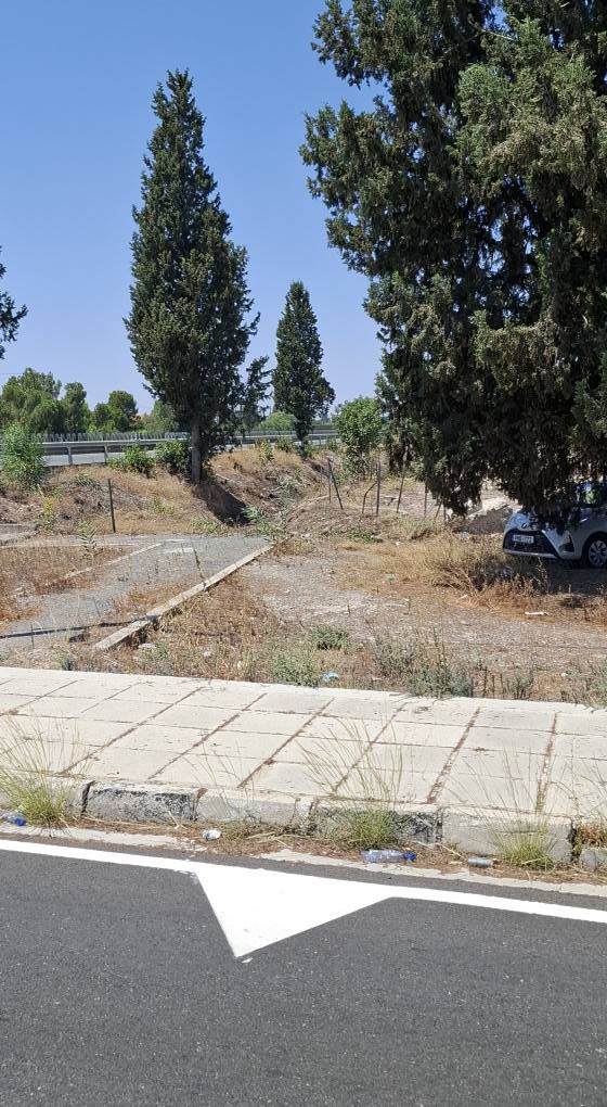 Καθαριότητα από ακακίες.