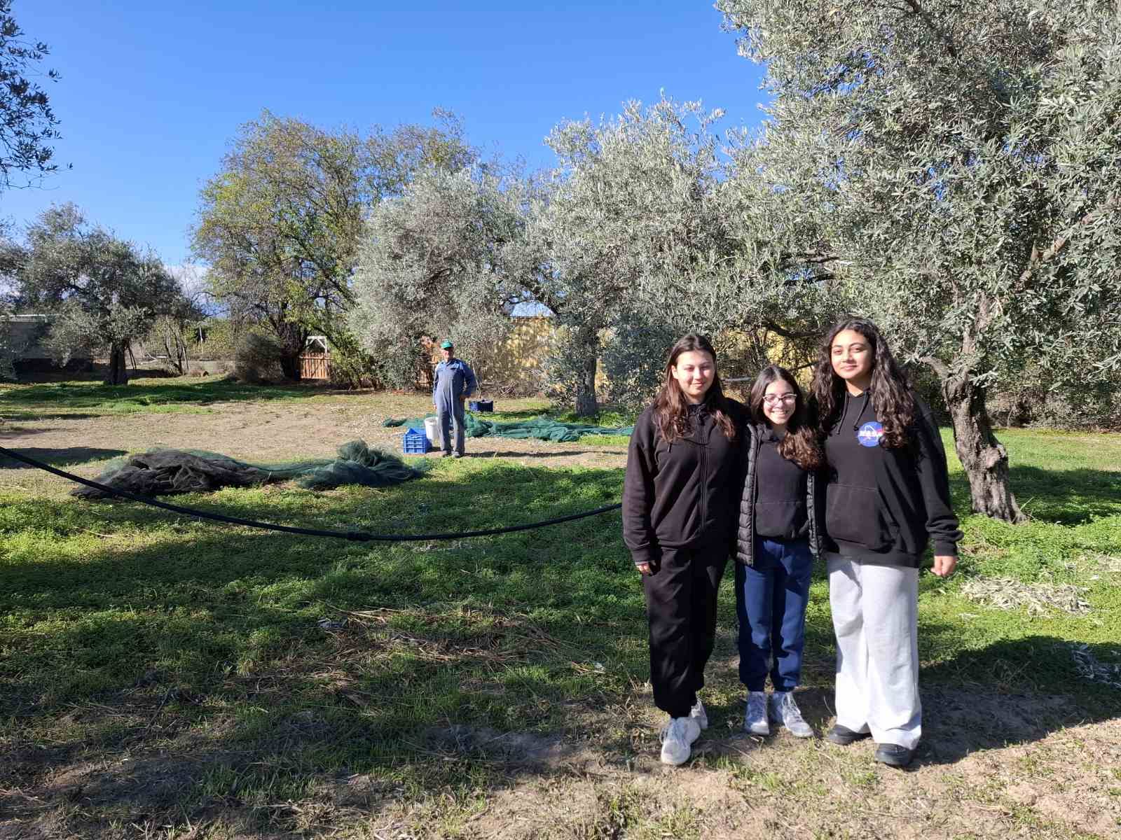 Στηγμιότυπο από τη ξενάγηση στον ελαιώνα